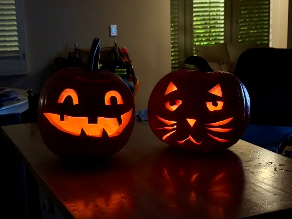 Pumpkin cats