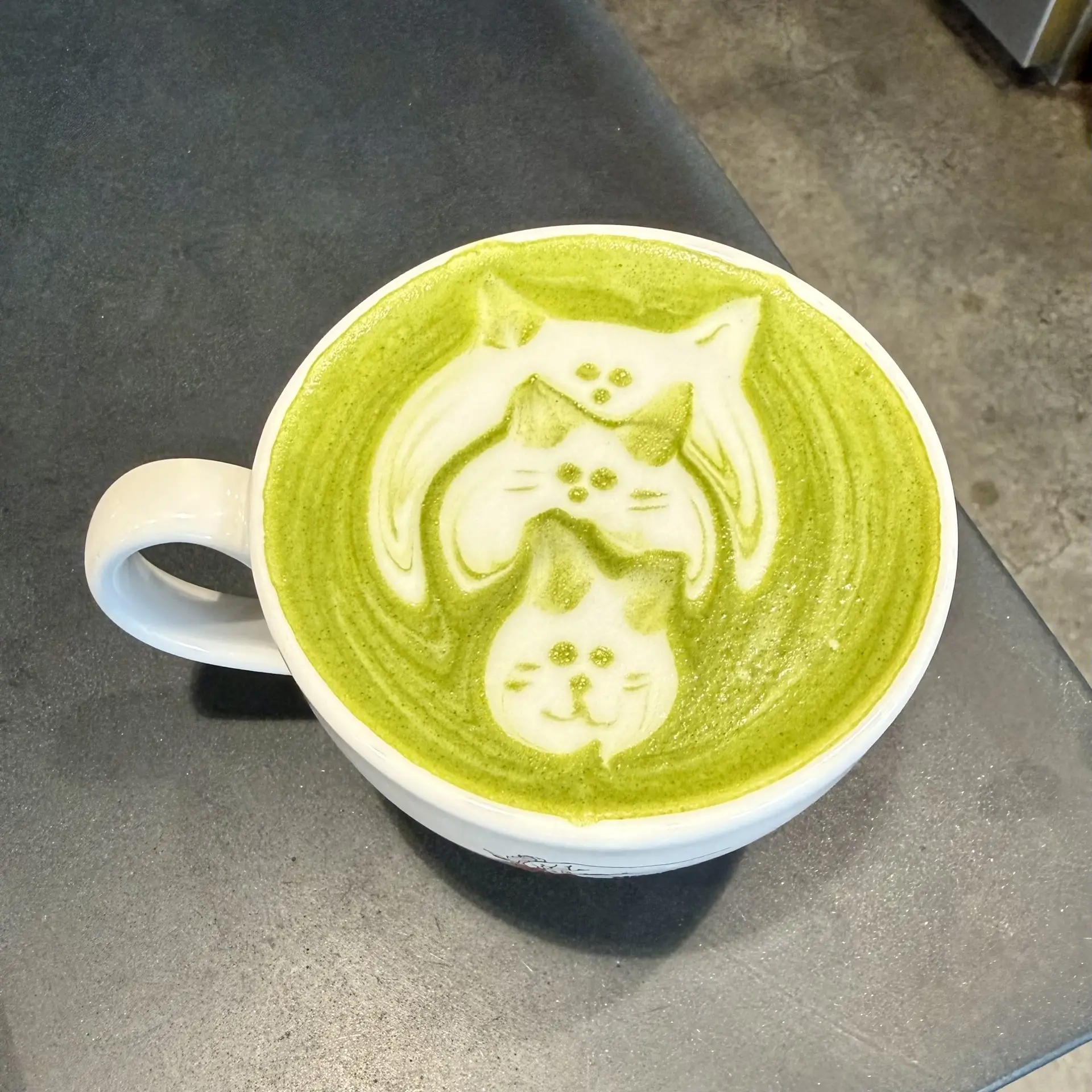 Matcha cats