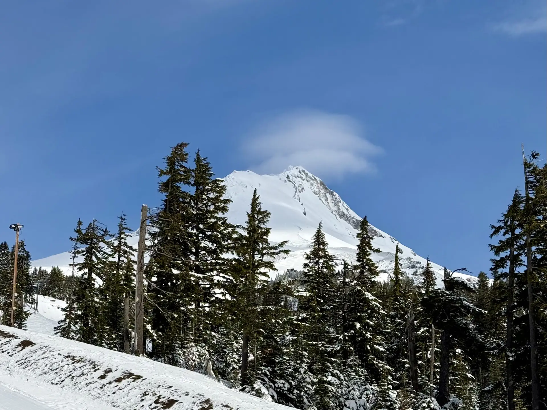 Mt Hood